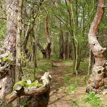 Appartamento La Des Vignes